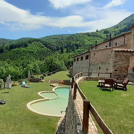 Agroturismo Mas Vilar, Feel At Home Arbúcies Zewnętrze zdjęcie
