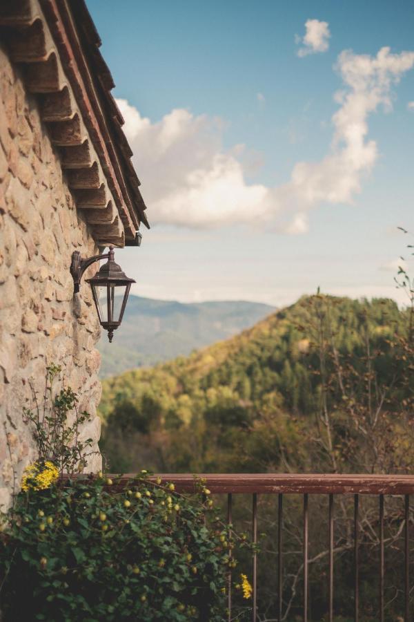Agroturismo Mas Vilar, Feel At Home Arbúcies Zewnętrze zdjęcie