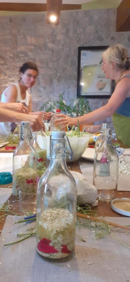 Agroturismo Mas Vilar, Feel At Home Arbúcies Zewnętrze zdjęcie